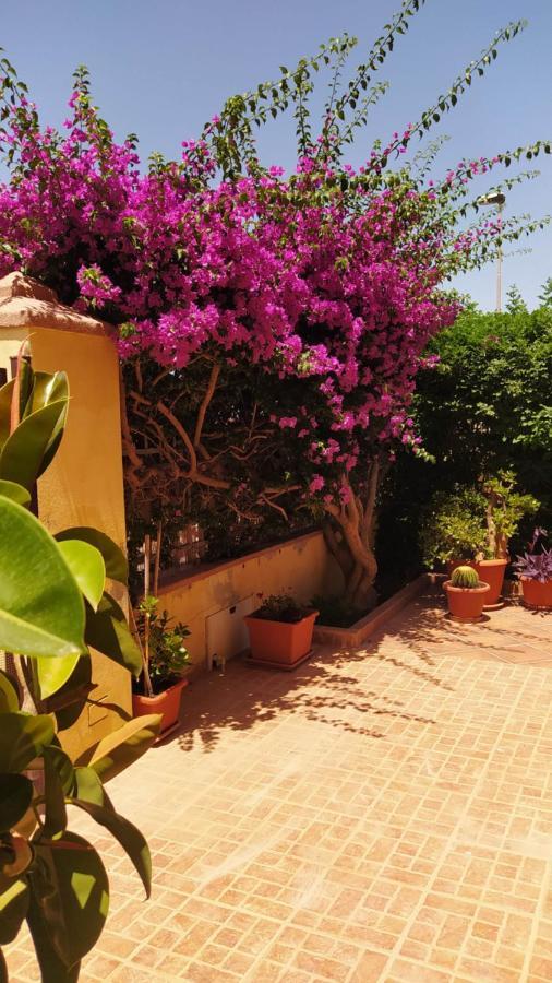 Bouganville Olmedo Esterno foto